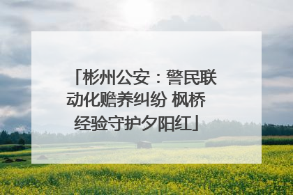 彬州公安：警民联动化赡养纠纷 枫桥经验守护夕阳红